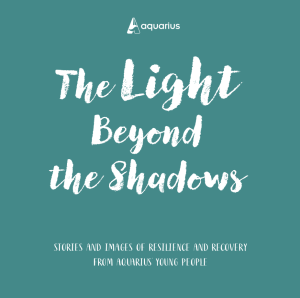 The Light Beyond the Shadows book cover.