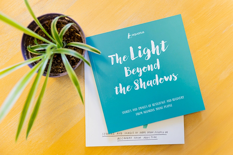 Support books on a desk next to a potted plant.