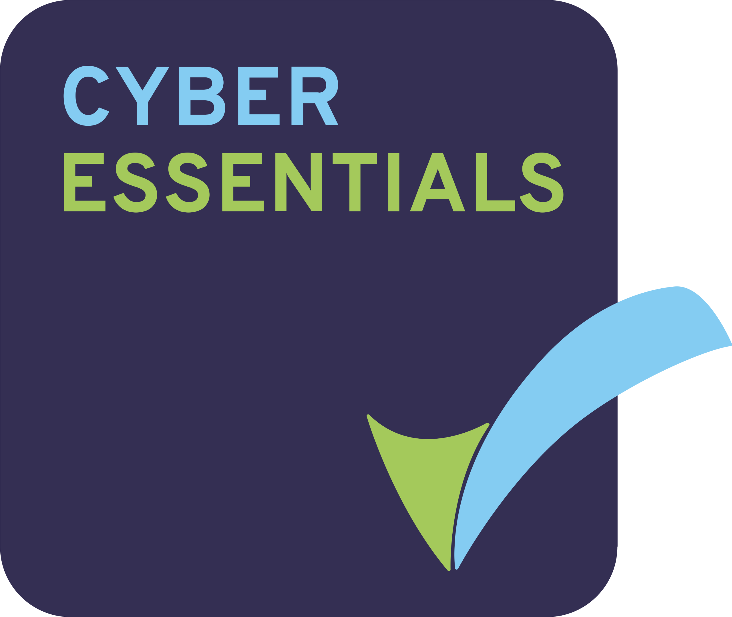 Cyber Essentials Logo.